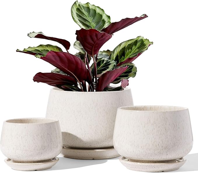 LE TAUCI Plant Pots, 4.1+5.1+6.5 inch, Ceramic Planters by LETAUCI