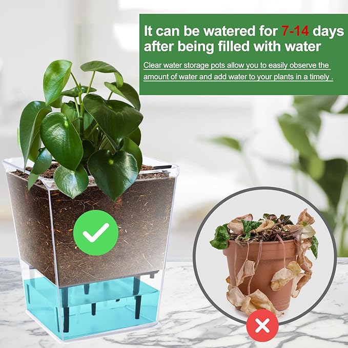 Self Watering Pots Set, 3 Pack 5 Inch - Image 5