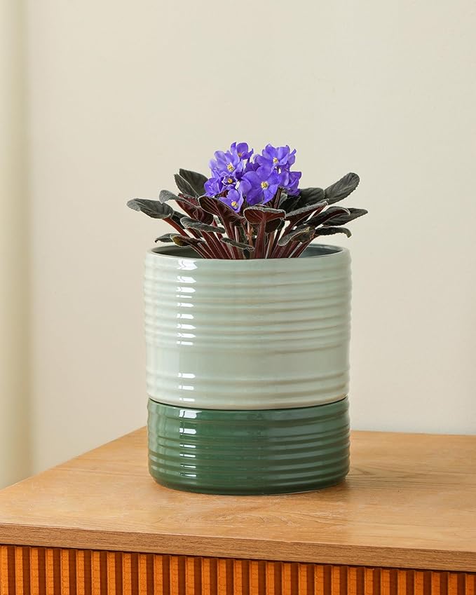 Self Watering Pots for Indoor Plants, 6 Inch Ceramic Self Watering Plant Pot - Image 4
