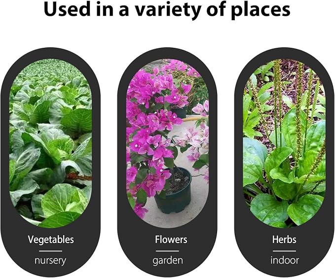 Blue Plant labels - Image 6