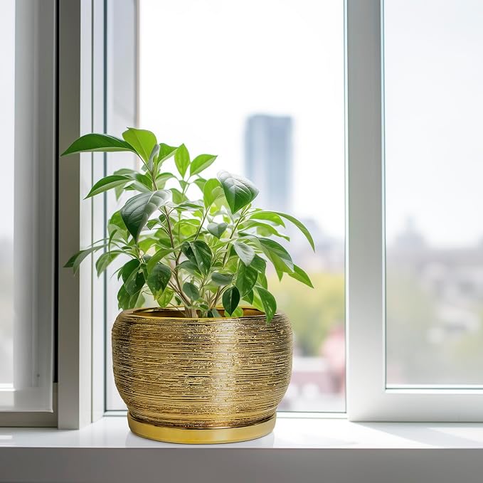 SQOWL Ceramic Planter for Indoor Plants - Image 4