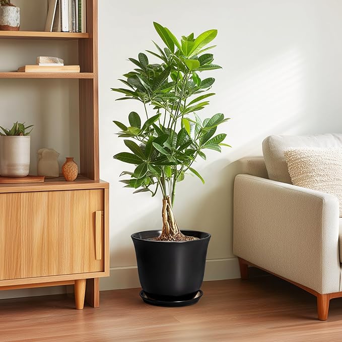 Ceramic Pots for Plants - Image 4