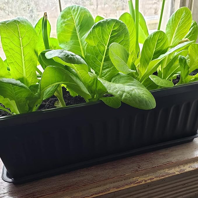 JOIKIT 17 Inches Black Plastic Planter Box, 6 Packs, Good Drainage, Indoor - Image 6