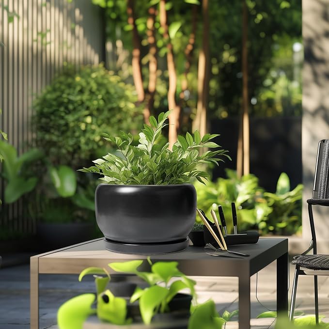 SQOWL Ceramic Flower Pot - Image 5