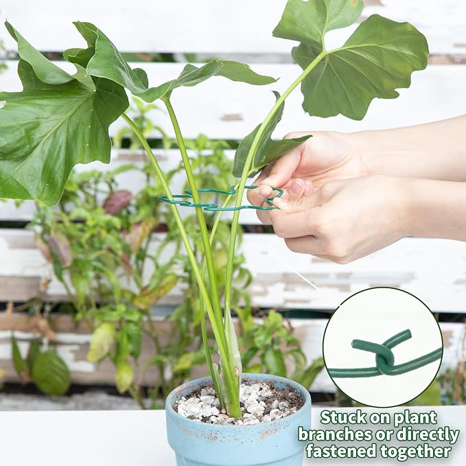 Monstera Plant Stem Support - Image 4
