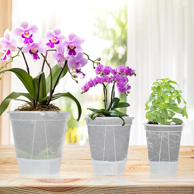 Cdd's Path 6-Pack Bare Root Planter Self Watering Pots Set - Image 7