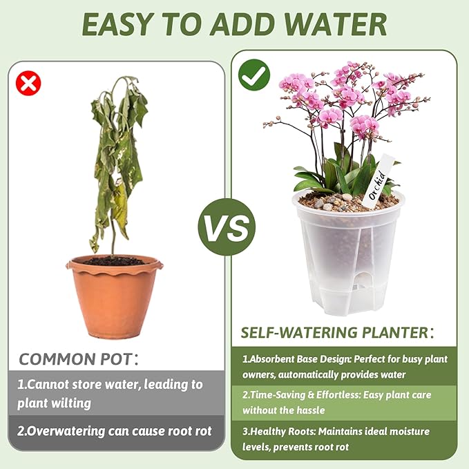 Clear Self Watering Pots for Indoor Plants - Image 4