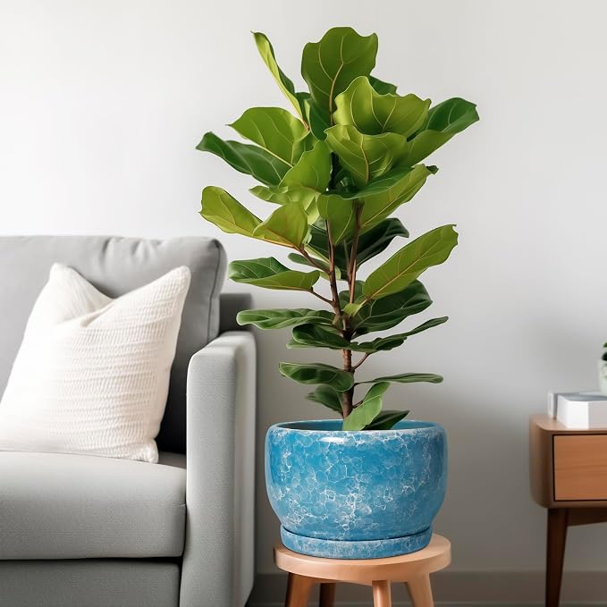 SQOWL Ceramic Planters - Image 2