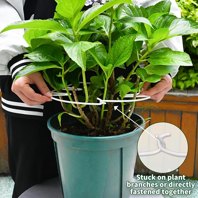5PCS Monstera Plant Stem Support White - Image 4