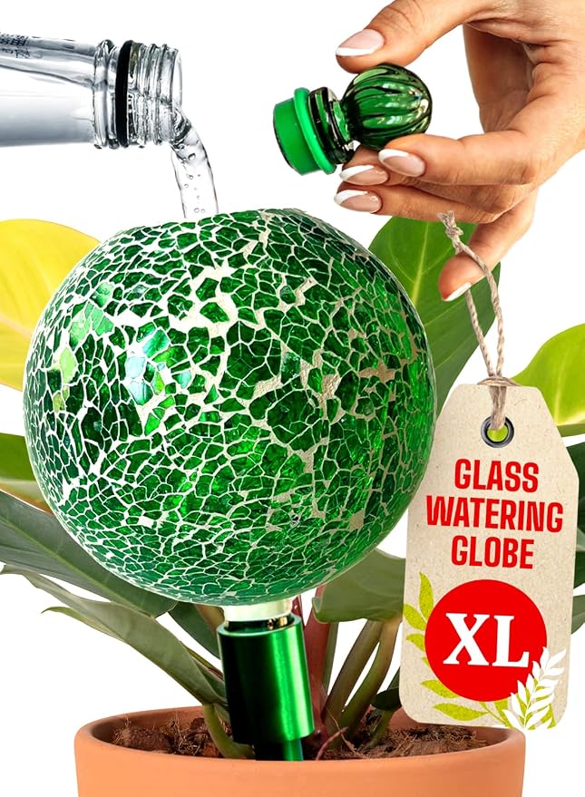 16 Oz Plant Watering Globes for Indoor Plants by GARDENBRO