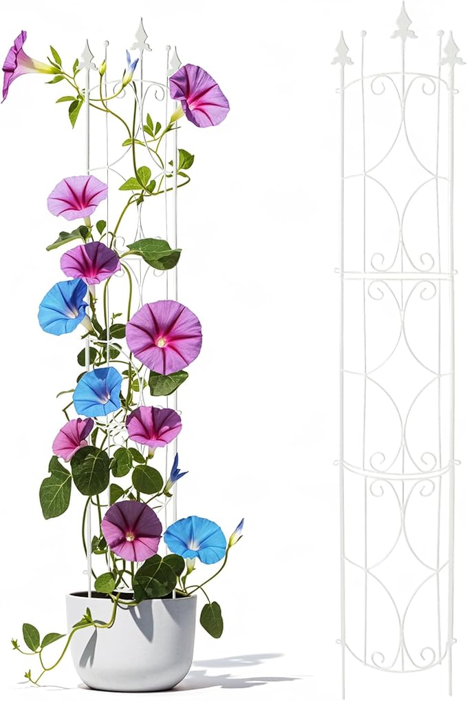 Garden Trellis 2 Pack 72'' H x 12'' W Metal Plant Trellis Indoor/Outdoor Metal - Image 5