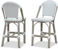 PURPLE LEAF French Counter Height Bar Stools Set of 2 Champagne Print Finish by PURPLELEAF