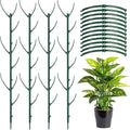 12 Pack Plant Support Stake Half Round Plant Support by BUYNOW