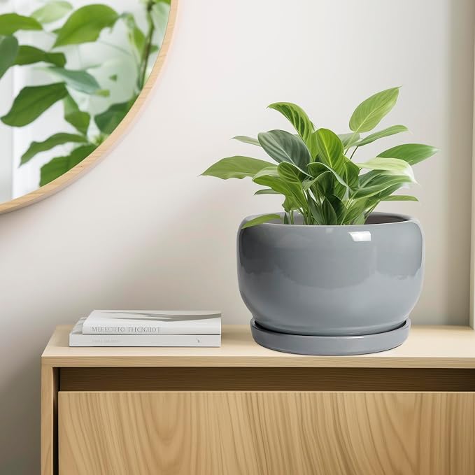 SQOWL 10 Inch Plant Pot - Image 7