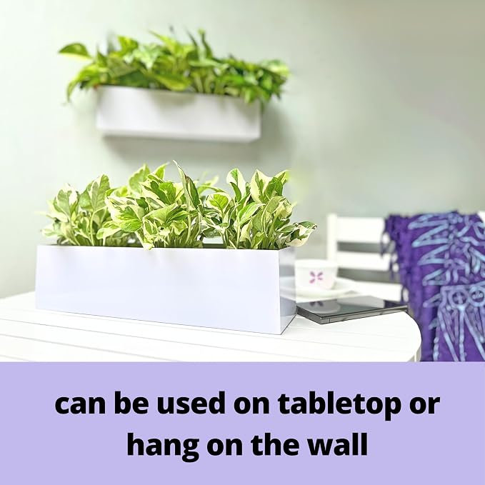 LaLaGreen Wall Planter Carbon Steel White Metal Hanging Flower Pot - Image 5