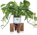 Plant Stand, Indoor/Outdoor Wood Plant Holder, Single Flower Pot Stand by Vigordream