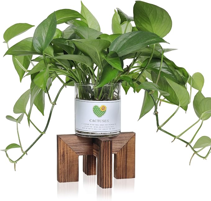 Plant Stand, Indoor/Outdoor Wood Plant Holder, Single Flower Pot Stand by Vigordream