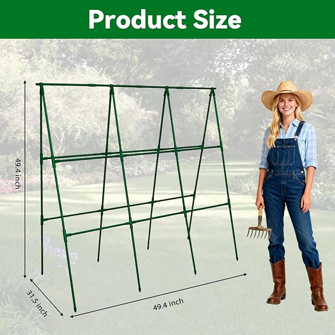 Cucumber Trellis - Image 4