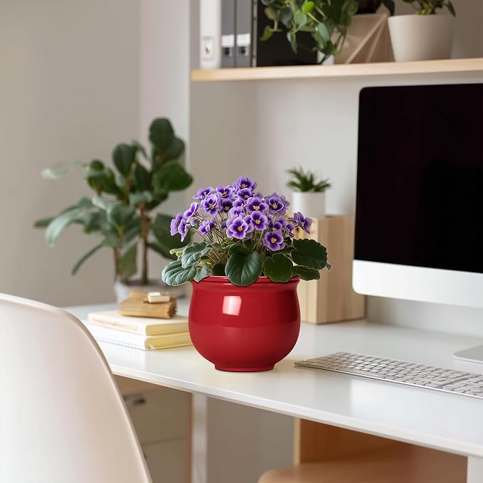 Ceramic Self Watering Planter, 6 Inch African Violet Pots - Image 3