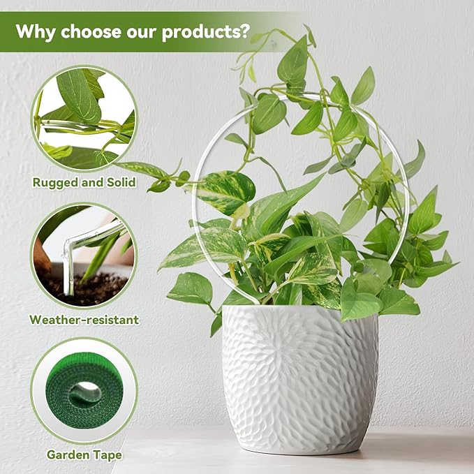 2 Pack Round Plant Trellis for Potted Plants Indoor Outdoor, Acrylic Small - Image 2