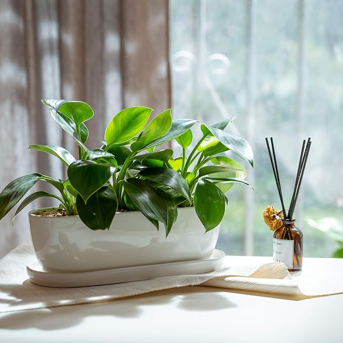 E-liu Oval Ceramic Planter Pot - Image 7