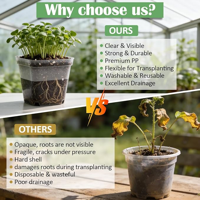 60 Pcs Clear Square Nursery Pots 4 Inch, Reusable Seedling Pots - Image 5
