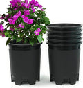 5 Gallon 6-Pack Large Plant Pots Nursery Tree Pot Plastic Planters by CottaPlanters