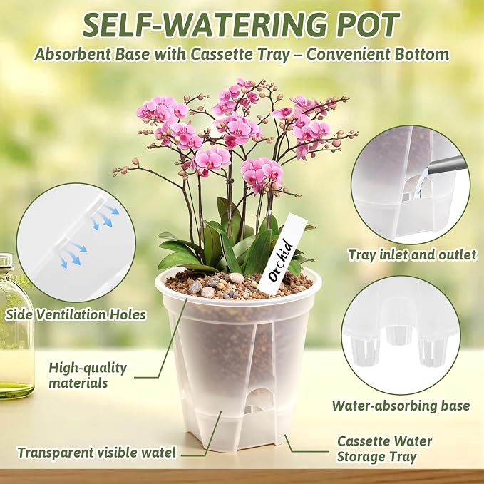Clear Self Watering Pots for Indoor Plants - Image 7