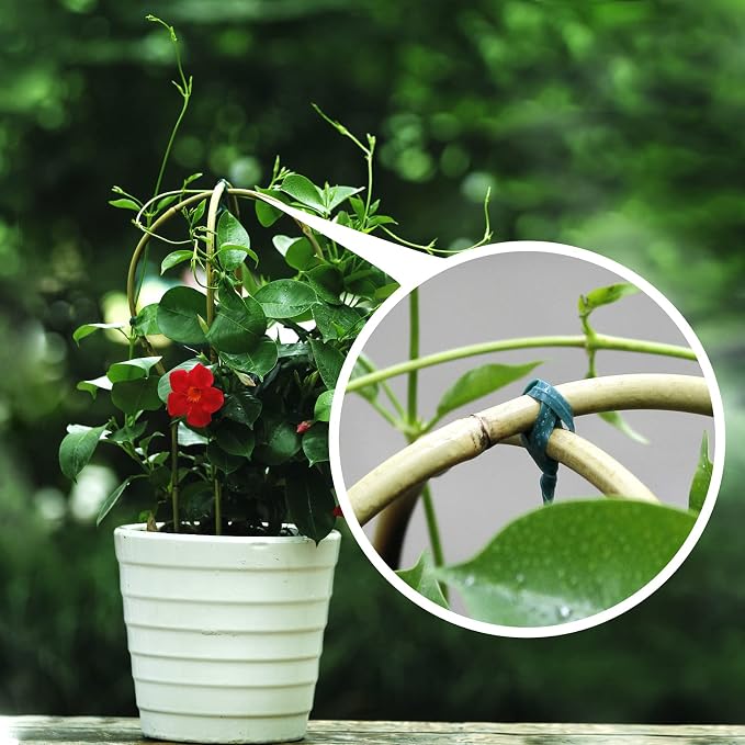 Plant Trellis Indoor 16in, Loop-Shaped Bamboo Trellis - Image 5