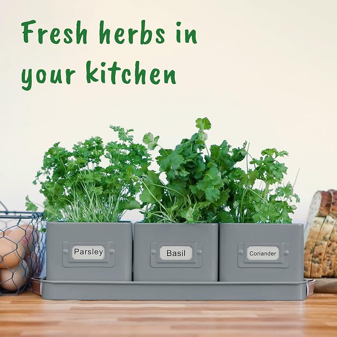 volila Herb Planter Indoor - Image 7