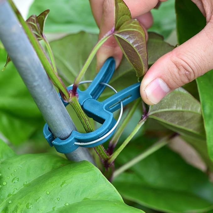 60PCS Plant Clips 2 Sizes Adjusting Reusable Garden Plant Supports Clips - Image 7