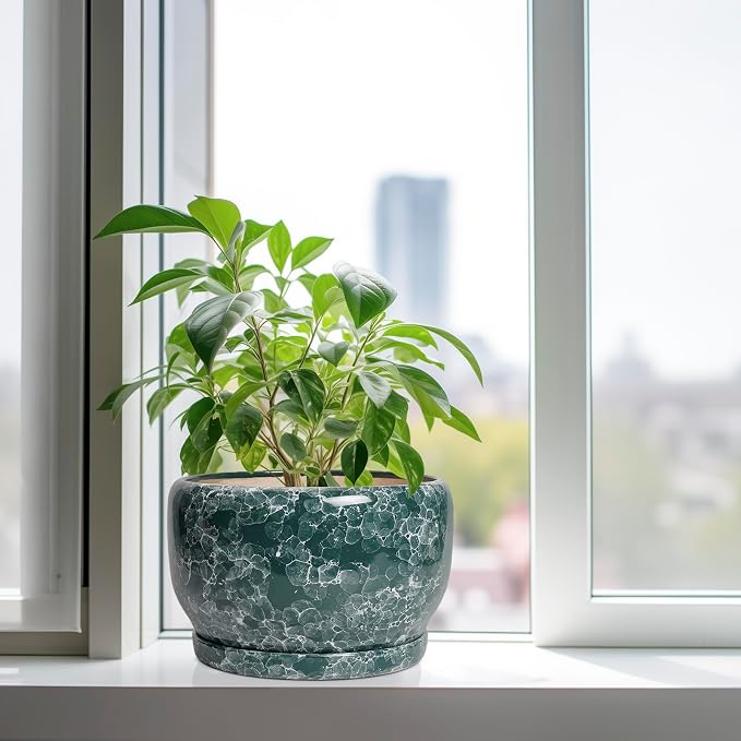 SQOWL 10 Inch Plant Pot - Image 4