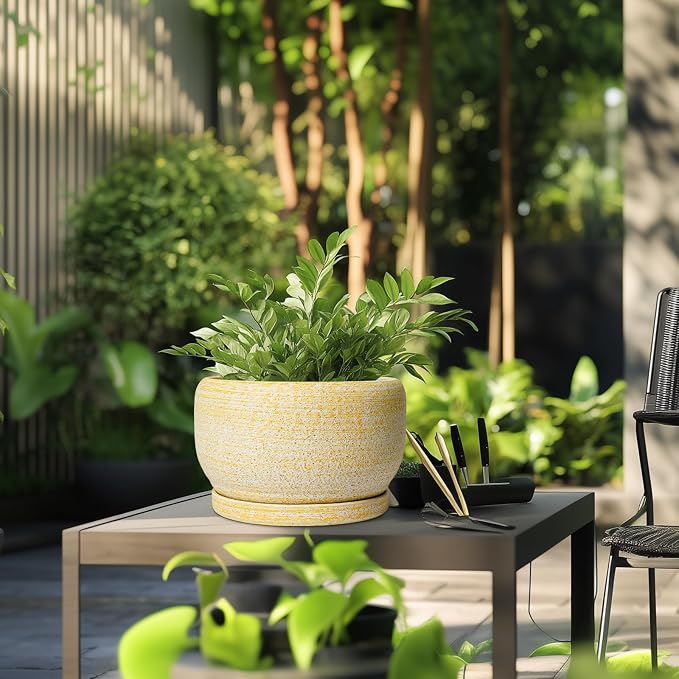 SQOWL Ceramic Planters for Indoor Plants - Image 5