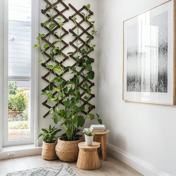 2 Pcs Expandable Garden Trellis, Wooden Lattice Wall Fence Trellis - Image 5