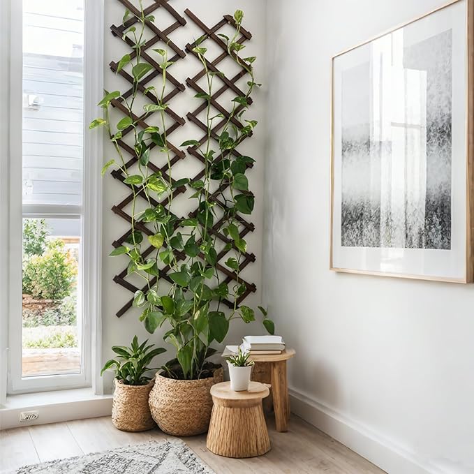 4 Pcs Expandable Garden Trellis, Wooden Lattice Wall Fence Trellis - Image 5