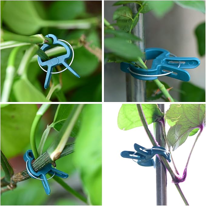 60PCS Plant Clips 2 Sizes Adjusting Reusable Garden Plant Supports Clips - Image 4