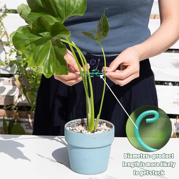 Monstera Plant Stem Support - Image 5