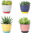 Selamica Ceramic Succulent Pots by Selamica