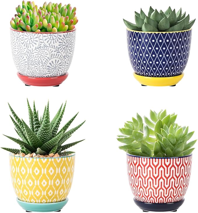 Selamica Ceramic Succulent Pots by Selamica