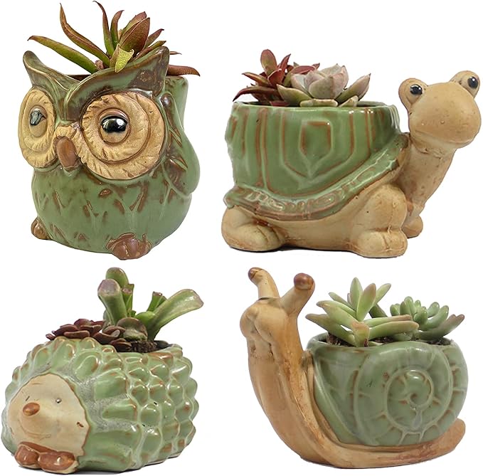 Small Ceramic Succulent Pot by SUNSMIL