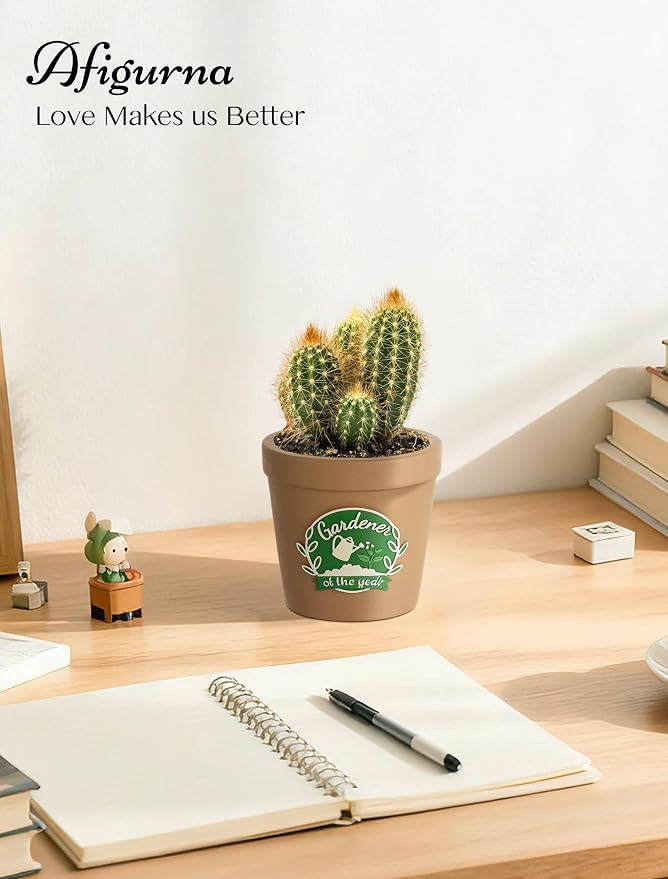 Gardening Gifts for Women: Hand-Painted 3D Art Cute Succulents Planter - Image 9