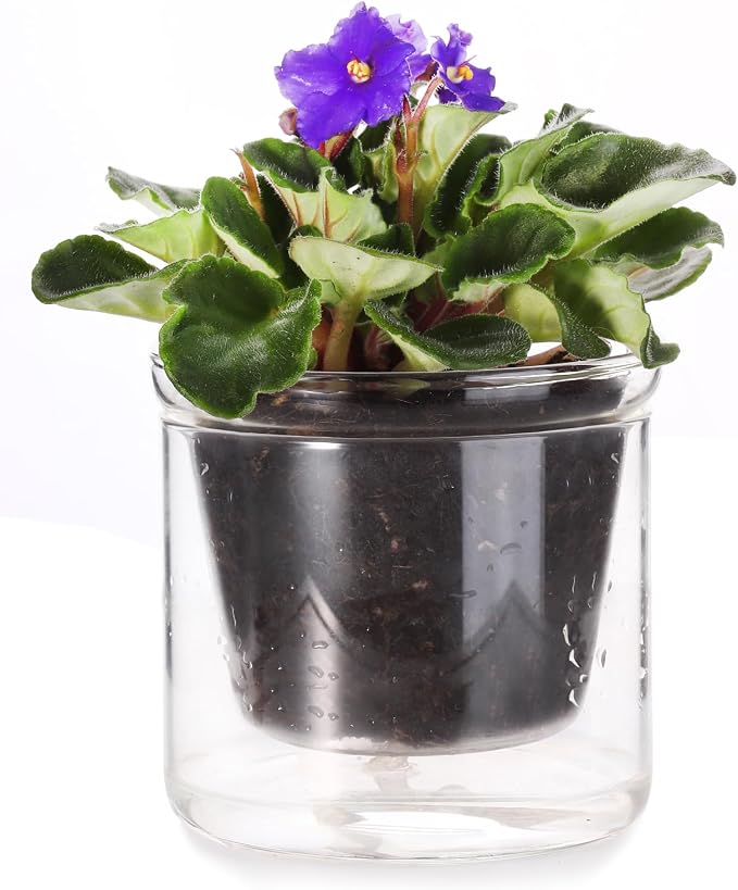 4 Inch Self Watering Pot, African Violet Pot, Bottom Watering Glass Planter by LAZUSAM