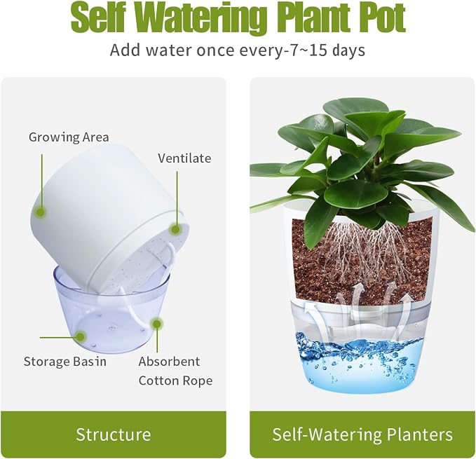 6 Inch Self Watering Plastic Plant Pots - Image 2
