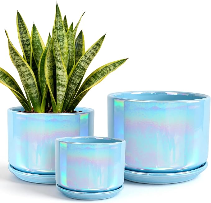 EFISPSS Ceramic Planter 4+5+6 Inch Ceramic Flower pots by EFISPSS