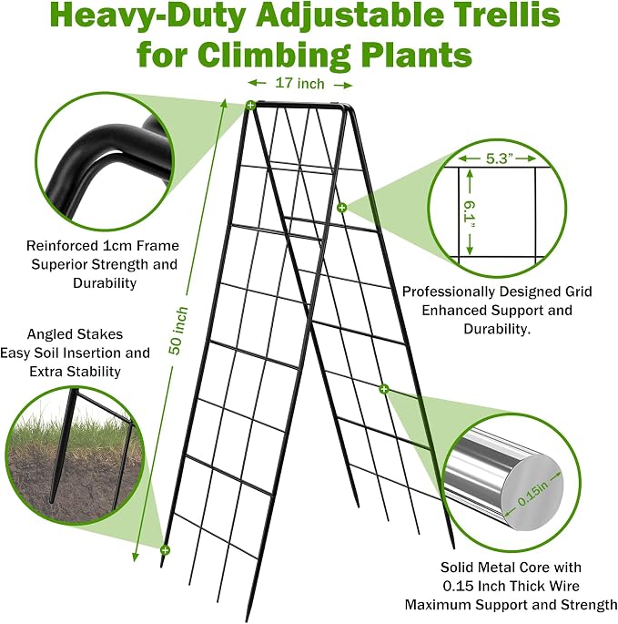 2 Pack 50" Tall A Frame Trellis - Image 2