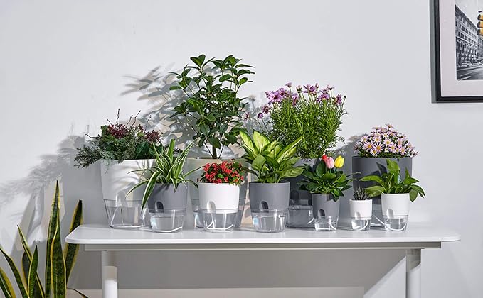 Self Watering Pots for Indoor Plants, 5 Pack 6/4.1/3.2 Inch Flower Pot Modern - Image 5