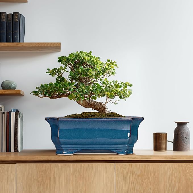 Bonsai Tree Pot - Image 8