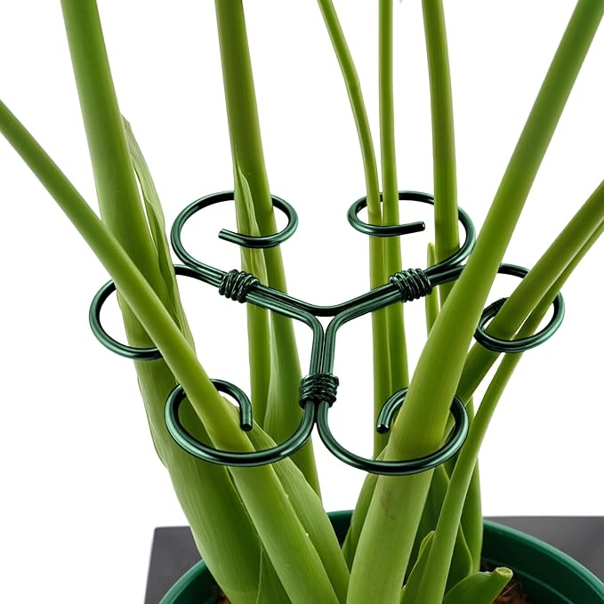 4PCS Green Iron Monstera Support, Uniquely Designed Plant Support Stakes by Unknown