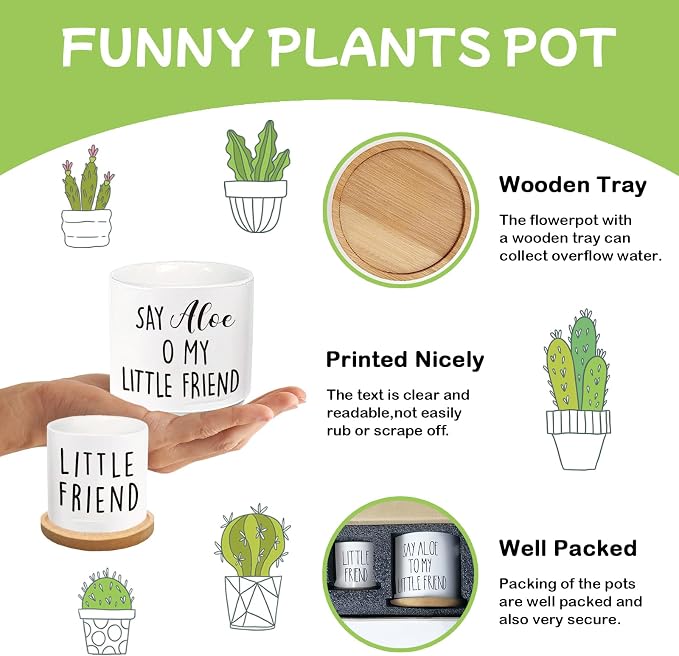 Say Aloe to My Little Friend Planter Pot, Funny Plant Pots, Aloe Plant Pot - Image 3
