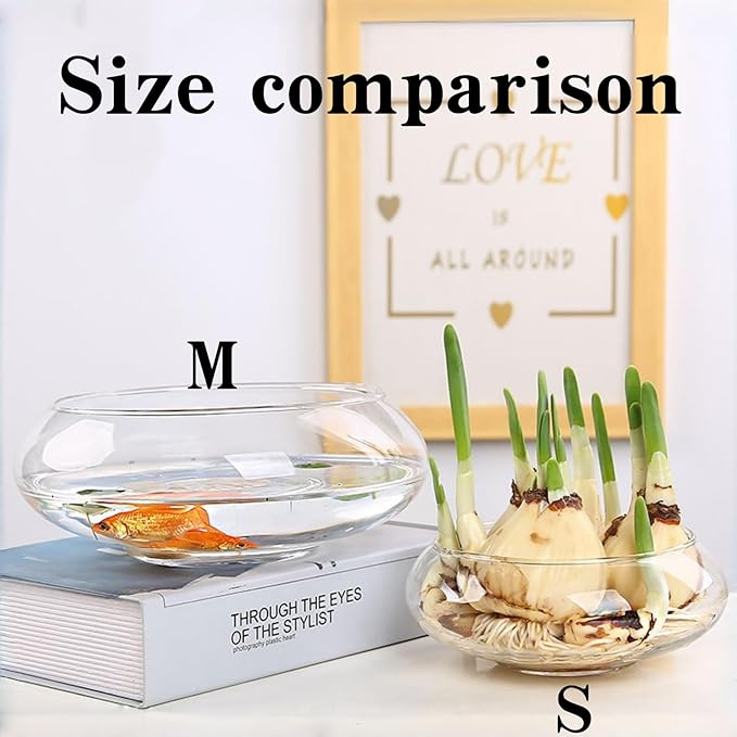 Glass Lotus Bowl Planter, Lotus Flower Bowl, Lotus Bowls - Image 4